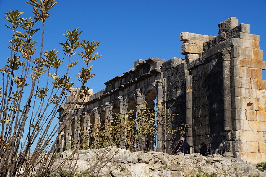 Day Trip to Meknes Volubilis