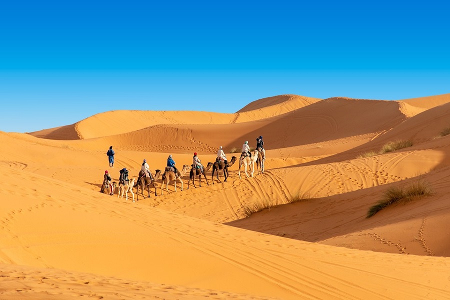 10 days Tour from Casablanca to desert