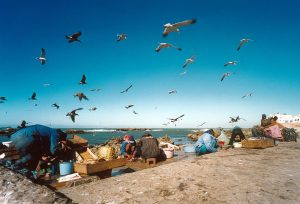 15 days tour through Morocco From Tangier